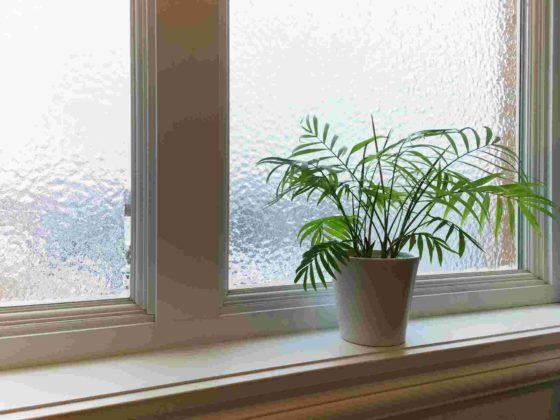 窓の結露対策 完全ガイド｜今日からできる対策〜リフォームで根本解決まで徹底解説